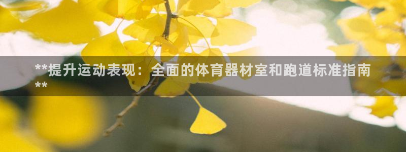 极悦平台登录入口注册：**提升运动表现：全面的体育器