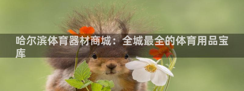极悦官方网站：哈尔滨体育器材商城：全城最全的体育用品