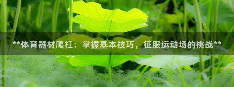 极悦娱乐百科百度贴吧：**体育器材爬杠：掌握基本技巧