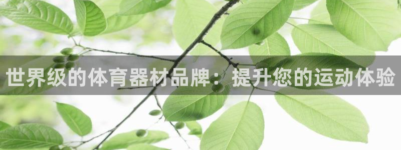 极悦平台官网入口网站：世界级的体育器材品牌：提升您的