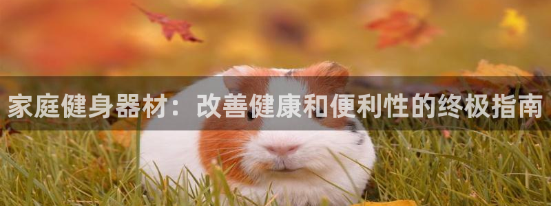 极悦平台官方网站入口网址：家庭健身器材：改善健康和便