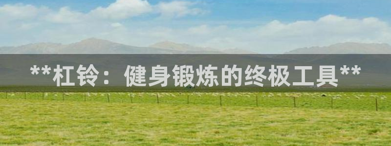 极悦娱乐股东结构：**杠铃：健身锻炼的终极工具**