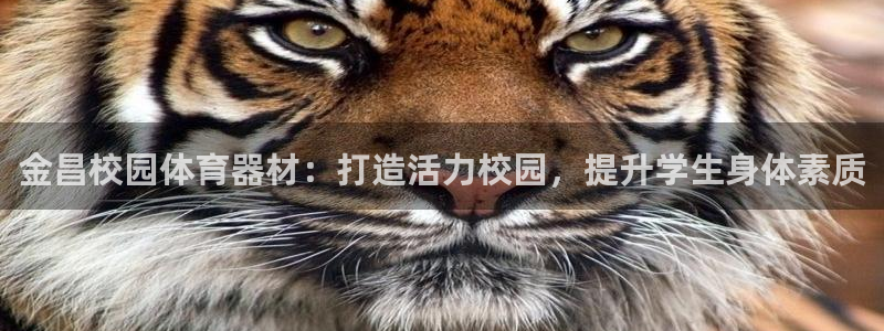 极悦平台注册登录失败：金昌校园体育器材：打造活力校园