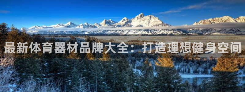 极悦平台注册官方网站下载：最新体育器材品牌大全：打造