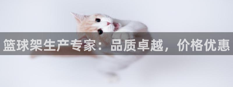 极悦平台注册和登录页面：篮球架生产专家：品质卓越，价