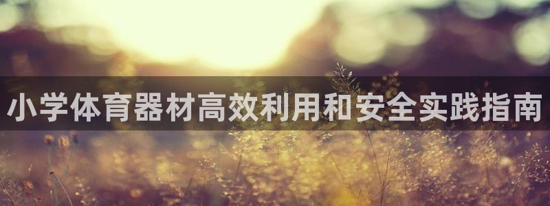 极悦平台家7O777：小学体育器材高效利用和安全实践