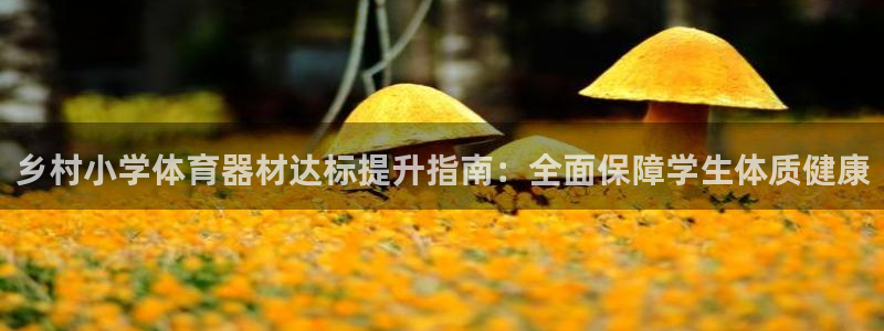极悦平台是干嘛的：乡村小学体育器材达标提升指南：全面