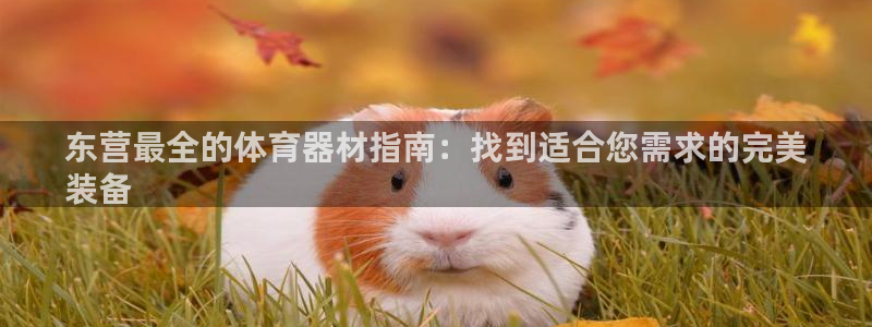 极悦娱乐股东结构：东营最全的体育器材指南：找到适合您