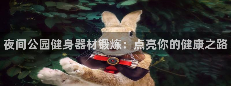 极悦平台注册登录入口：夜间公园健身器材锻炼：点亮你的