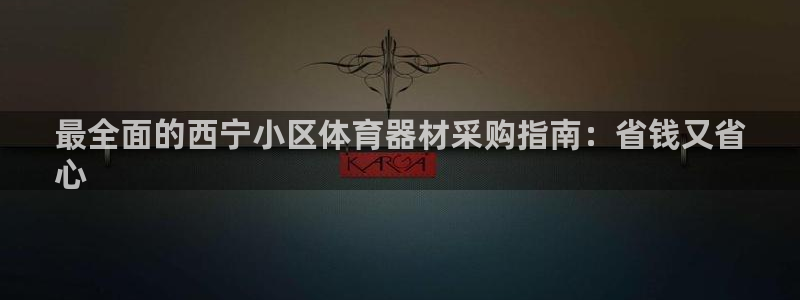 极悦娱乐股东有哪些：最全面的西宁小区体育器材采购指南