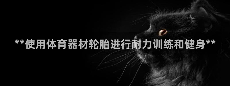 极悦平台登录最新版本更新内容：**使用体育器材轮胎进