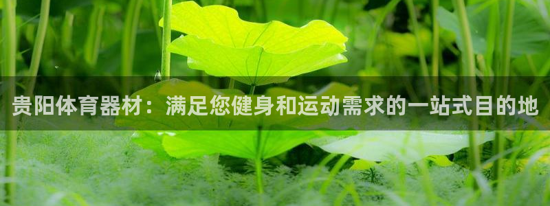极悦娱乐最新版本更新内容分享：贵阳体育器材：满足您健