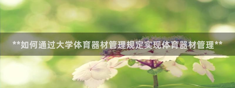 极悦娱乐的创始人背景故事是什么：**如何通过大学体育