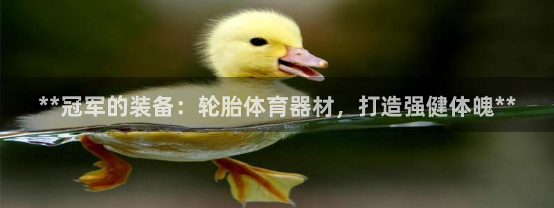 极悦娱乐官网APP下载：**冠军的装备：轮胎体育器材