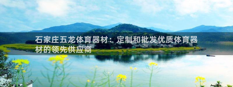 极悦平台app安全吗可靠吗：石家庄五龙体育器材：定制