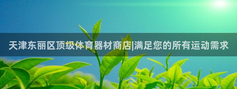 极悦平台有风险吗：天津东丽区顶级体育器材商店|满足您
