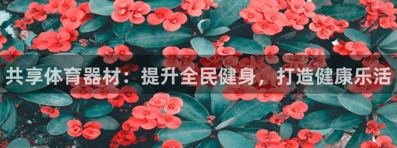 极悦平台注册太7.0.2.4怎么解决：共享体育器材：
