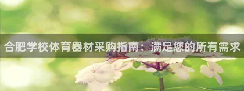 极悦平台注册登录不上：合肥学校体育器材采购指南：满足