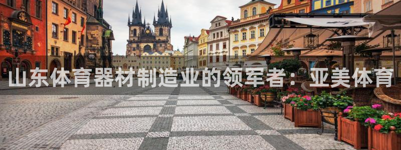 极悦平台注册申请流程详解图片：山东体育器材制造业的领