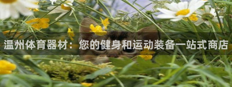 极悦官网首页：温州体育器材：您的健身和运动装备一站式
