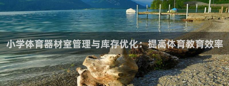 极悦平台注册和登录页面在哪：小学体育器材室管理与库存
