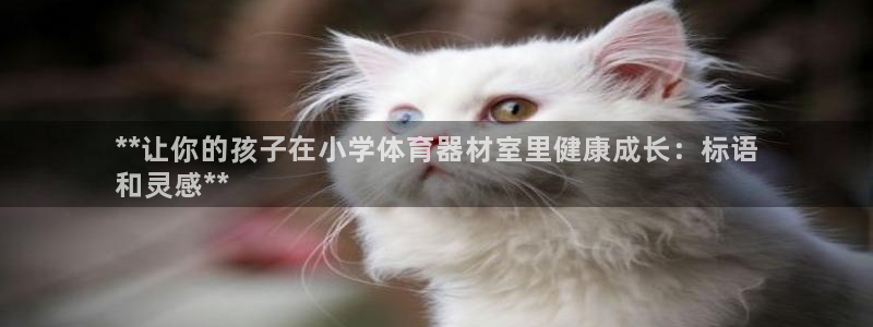 极悦平台官网登录：**让你的孩子在小学体育器材室里健