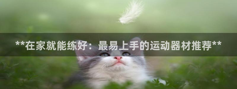 极悦平台官方网站下载：**在家就能练好：最易上手的运