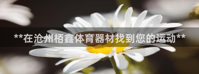 极悦官网注册最新版本更新内容：**在沧州栢鑫体育器材