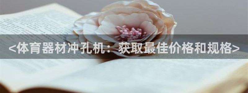 极悦平台官网下载中心app：<体育器材冲孔机：获取最