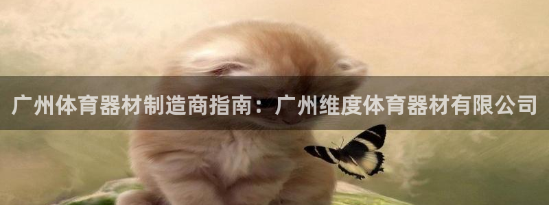 极悦平台官方网站：广州体育器材制造商指南：广州维度体