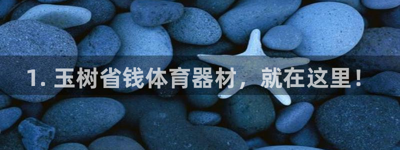 极悦平台是干什么的软件：1. 玉树省钱体育器材，就在