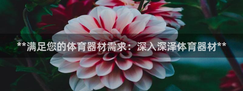 极悦娱乐官网app下载安装：**满足您的体育器材需求