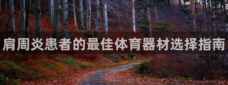 极悦牙膏好吗：肩周炎患者的最佳体育器材选择指南