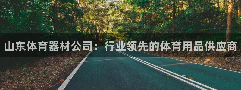 极悦平台是干嘛的：山东体育器材公司：行业领先的体育用