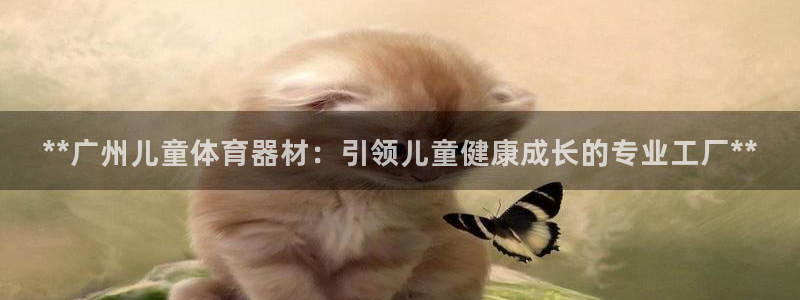 极悦平台使用教程图解：**广州儿童体育器材：引领儿童