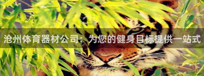 极悦平台登录不进去怎么回事儿：沧州体育器材公司：为您