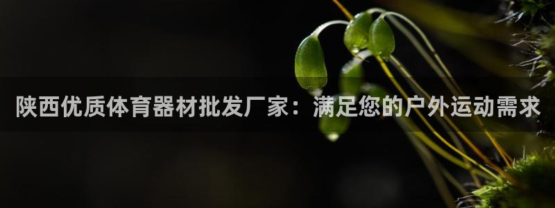 极悦平台注册和登录页面在哪：陕西优质体育器材批发厂家