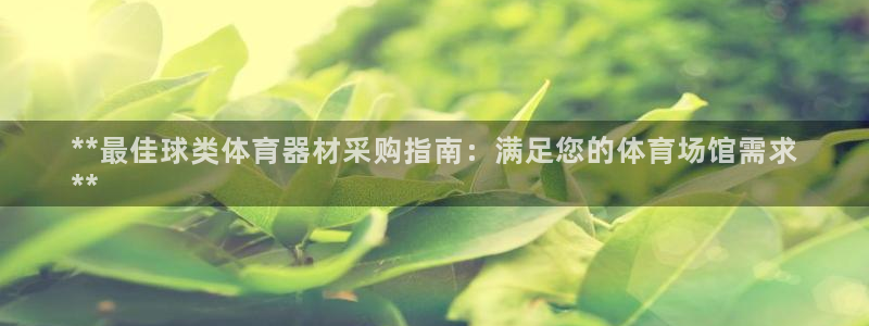 极悦平台注册失败如何解决问题：**最佳球类体育器材采