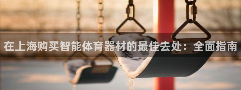 极悦娱乐app官方版本更新内容在哪：在上海购买智能体