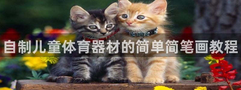 极悦平台官网登录最新版本更新内容介绍：自制儿童体育器