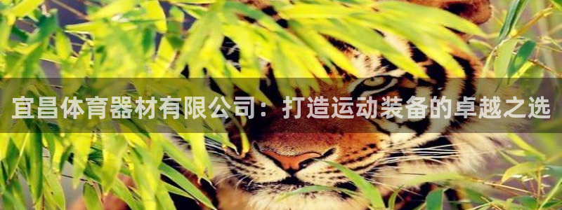 极悦娱乐官网下载安装：宜昌体育器材有限公司：打造运动
