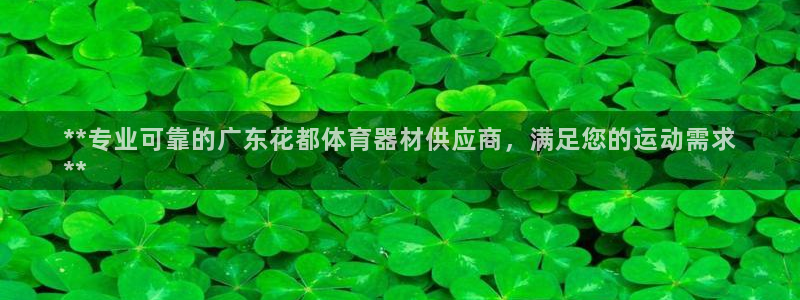 极悦官网入口登录：**专业可靠的广东花都体育器材供应