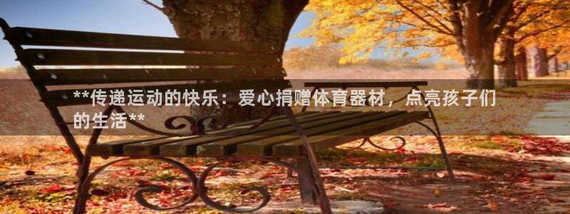 极悦平台是干什么的啊：**传递运动的快乐：爱心捐赠体