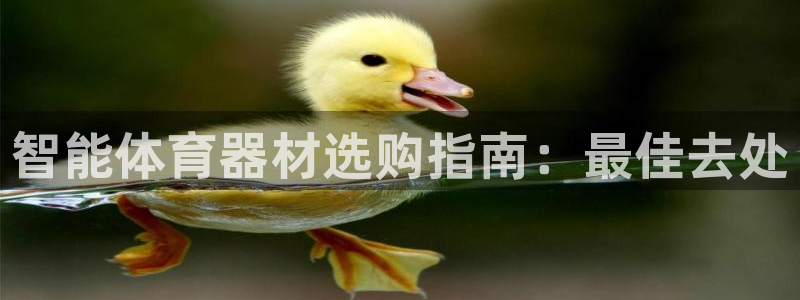 极悦娱乐官方网站入口：智能体育器材选购指南：最佳去处