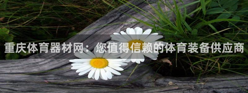 极悦平台注册官方网站下载安卓：重庆体育器材网：您值得