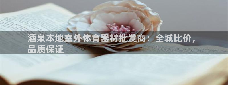 极悦平台客服投诉电话是多少啊：酒泉本地室外体育器材批