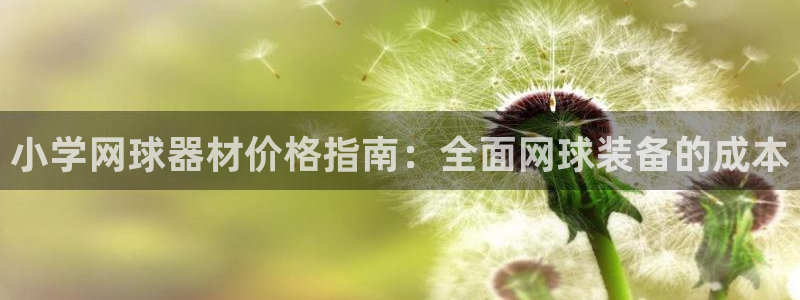 极悦平台官方网址是多少：小学网球器材价格指南：全面网