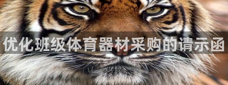 极悦平台是什么：优化班级体育器材采购的请示函