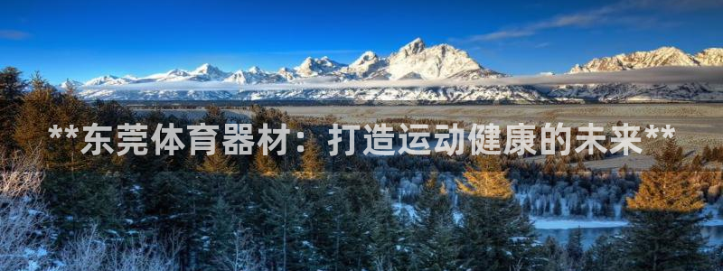 极悦娱乐app官方版本更新内容在哪：**东莞体育器材