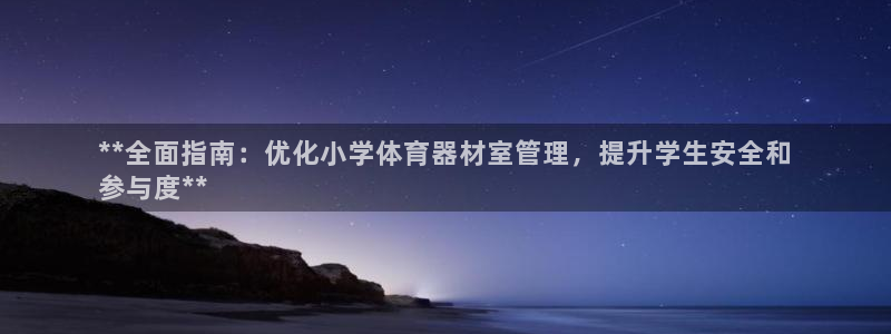 极悦官网登录：**全面指南：优化小学体育器材室管理，